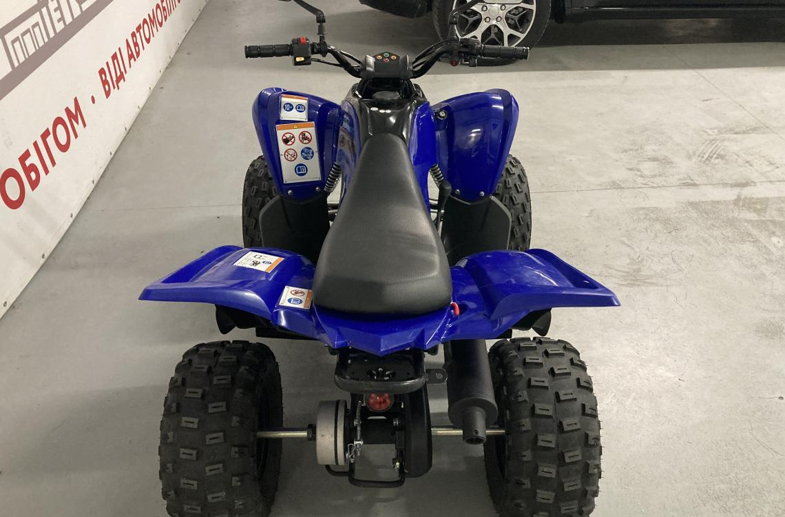 Yamaha YFM110R