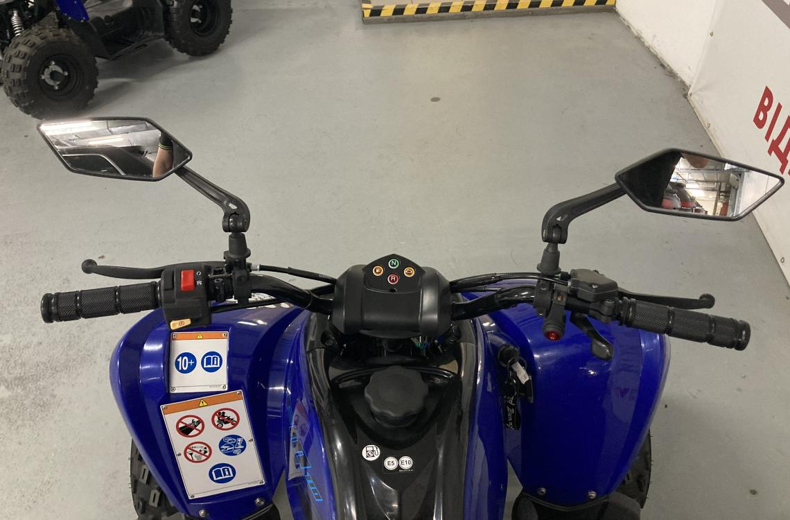 Yamaha YFM110R