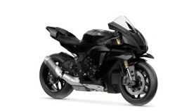 YZF-R1 Race